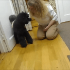 Assessing learning style through game